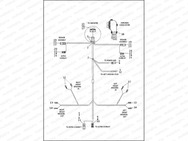 WIRING HARNESS, AMPLIFIER