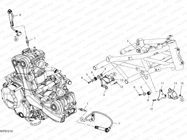WIRING HARNESS (COIL)