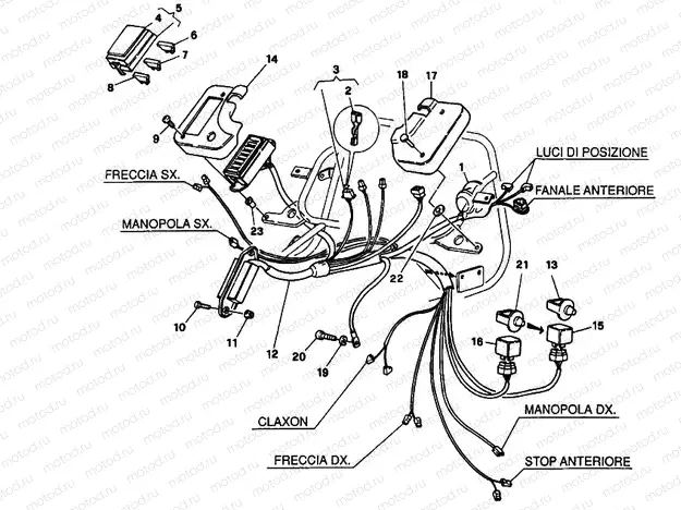 WIRING HARNESS DM 007707 » WIRING HARNESS