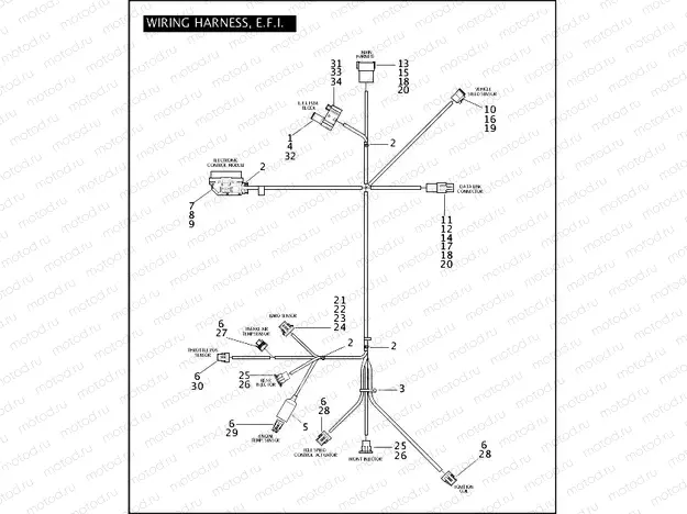 WIRING HARNESS, E.F.I.