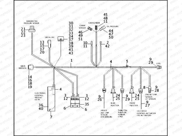 WIRING HARNESS, E.F.I. - FUEL INJECTED
