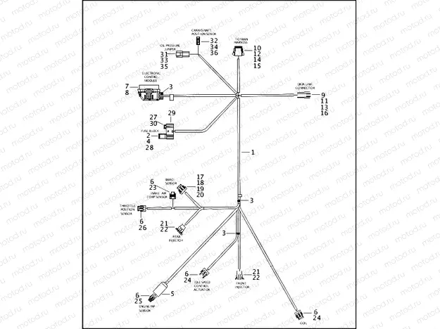 WIRING HARNESS, E.F.I. - FUEL INJECTED