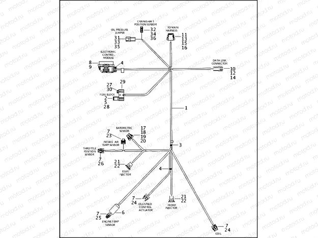 WIRING HARNESS, E.F.I. - FUEL INJECTED