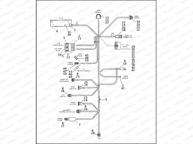 WIRING HARNESS, E.F.I. - FUEL INJECTED MODELS
