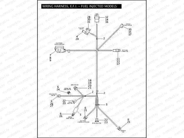WIRING HARNESS, E.F.I. - FUEL INJECTED MODELS