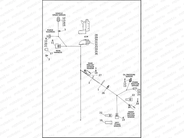 WIRING HARNESS, ENGINE (1 OF 4)