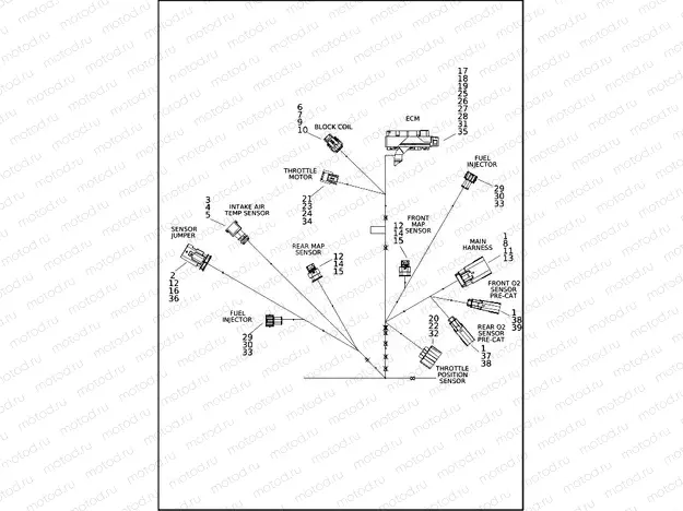 WIRING HARNESS, ENGINE (2 OF 4)