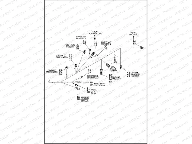 WIRING HARNESS, ENGINE (3 OF 4)