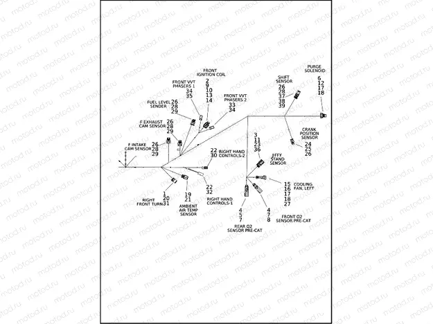WIRING HARNESS, ENGINE (3 OF 4)