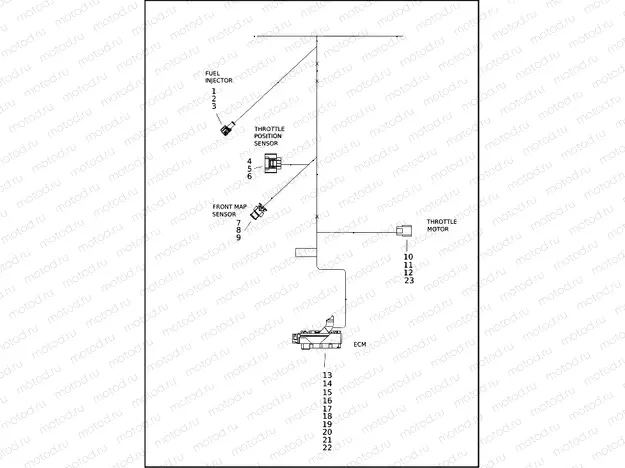 WIRING HARNESS, ENGINE (3 OF 4)