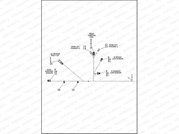 WIRING HARNESS, ENGINE (4 OF 4)