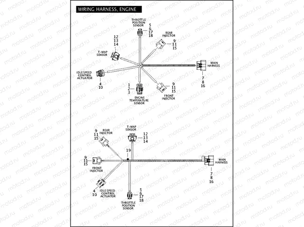 WIRING HARNESS, ENGINE