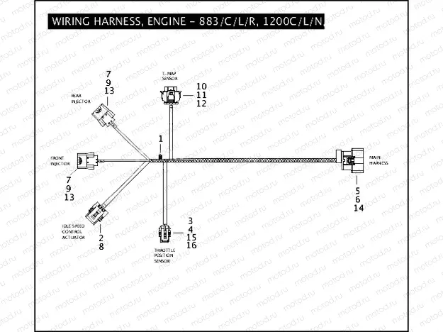WIRING HARNESS, ENGINE - 883/C/L/R, 1200C/L/N/R