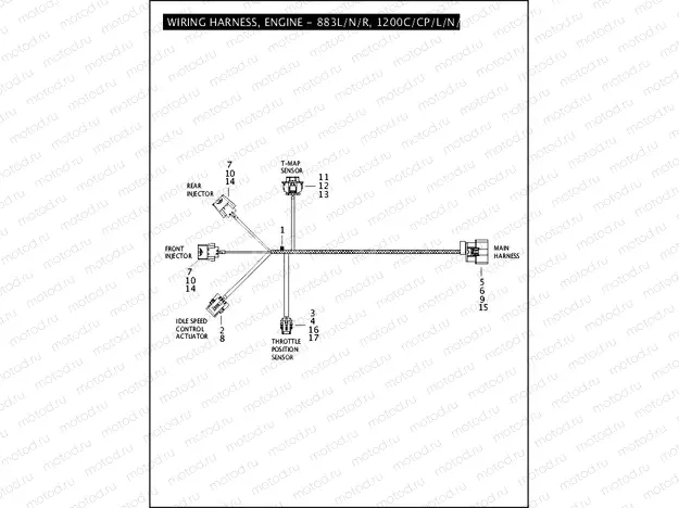 WIRING HARNESS, ENGINE - 883L/N/R, 1200C/CP/L/N/X