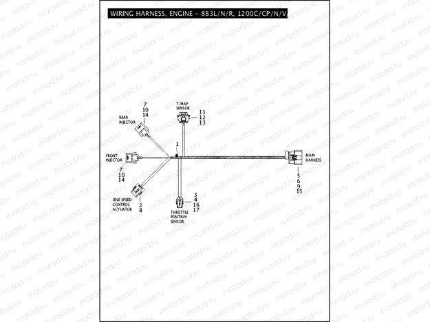 WIRING HARNESS, ENGINE - 883L/N/R, 1200C/CP/N/V/X