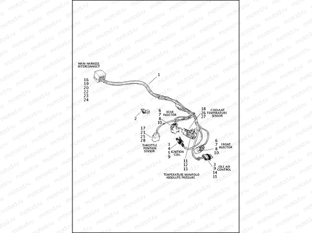 WIRING HARNESS, ENGINE