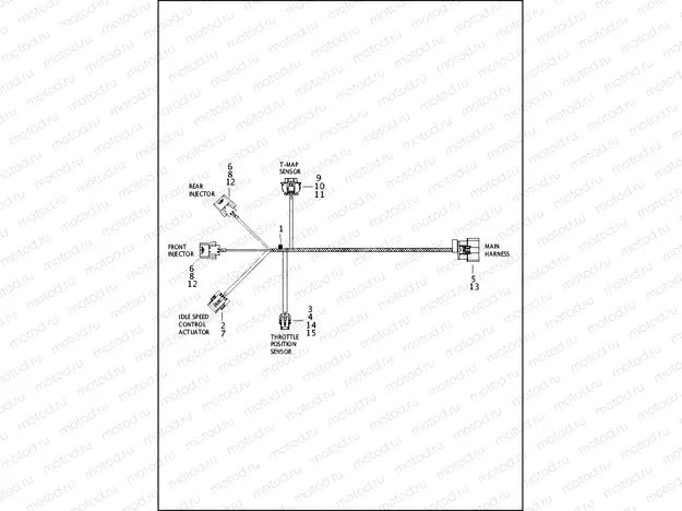 WIRING HARNESS, ENGINE
