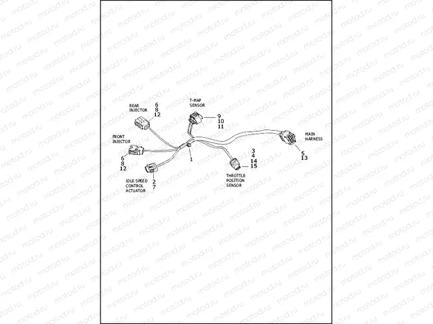 WIRING HARNESS, ENGINE