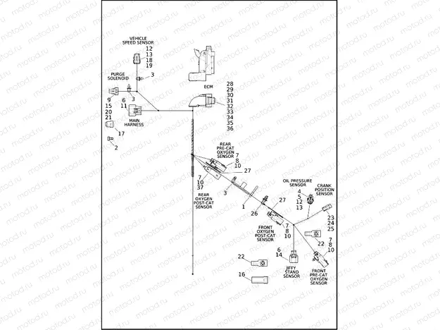 WIRING HARNESS, ENGINE - FLFBS, FLHCS, FXBBS, FXBR, FXLRS, FXLRST, FXST, FXBR (2 OF 4)