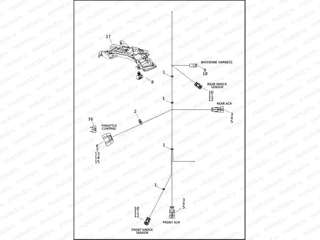 WIRING HARNESS, ENGINE - FLFBS, FLHCS, FXBBS, FXBR, FXLRS, FXLRST, FXST, FXBR (3 OF 4)