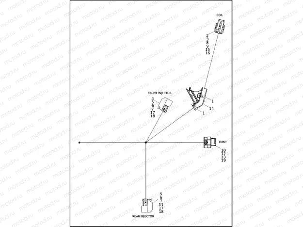 WIRING HARNESS, ENGINE - FLFBS, FLHCS, FXBBS, FXBR, FXLRS, FXLRST, FXST, FXBR (4 OF 4)