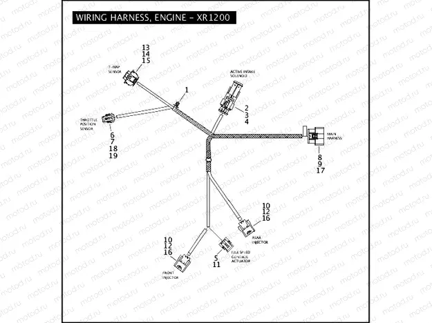 WIRING HARNESS, ENGINE - XR1200