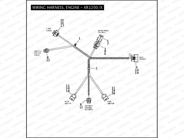 WIRING HARNESS, ENGINE - XR1200/X