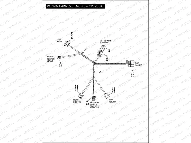 WIRING HARNESS, ENGINE - XR1200X