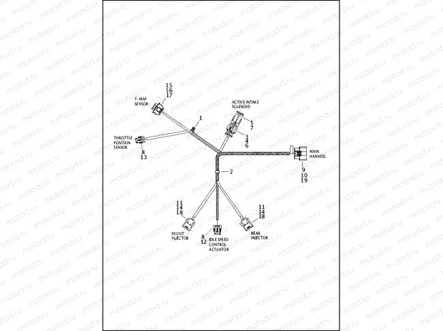 WIRING HARNESS, ENGINE - XR1200X