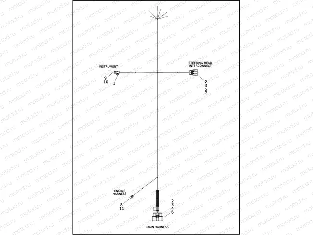 WIRING HARNESS, FRAME BACKBONE - FXLRST (1 OF 2)