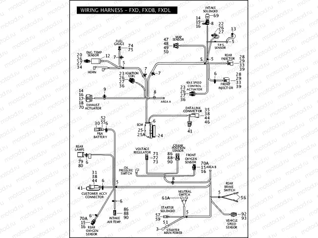 WIRING HARNESS - FXD, FXDB, FXDL (2 of 2)