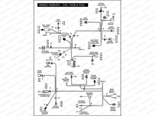 WIRING HARNESS - FXD, FXDB & FXDL (2 OF 2)