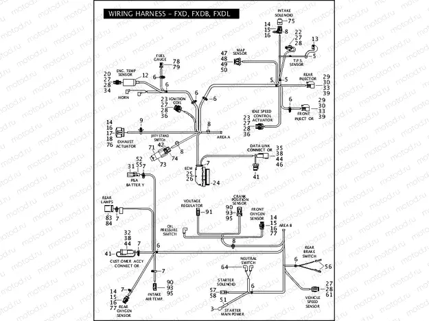 WIRING HARNESS - FXD, FXDB, FXDL (CONTINUED)