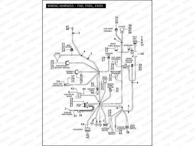WIRING HARNESS - FXD, FXDL, FXDX (2 OF 2)