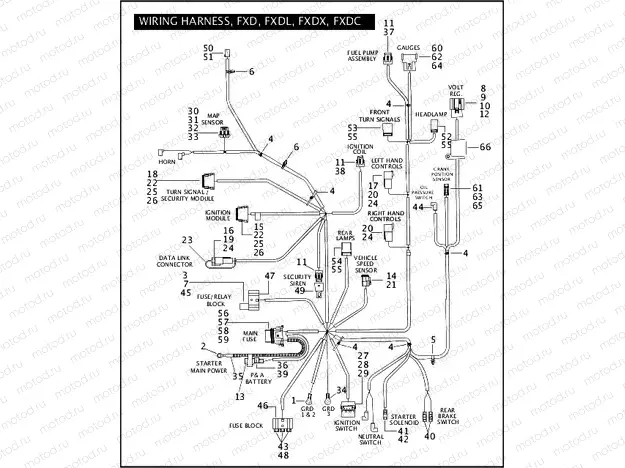 WIRING HARNESS, FXD, FXDL, FXDX, FXDC (1 OF 2)