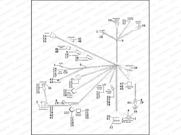 WIRING HARNESS - FXD, FXDL, FXDX, FXDXT (2 OF 2)