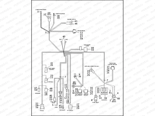 WIRING HARNESS - FXD, FXDSC, FXDL & FXDX (2 OF 2)