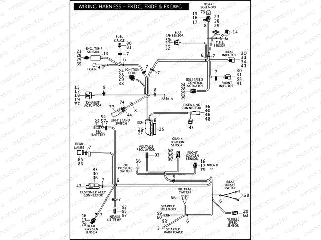 WIRING HARNESS - FXDC, FXDF & FXDWG (2 OF 2)