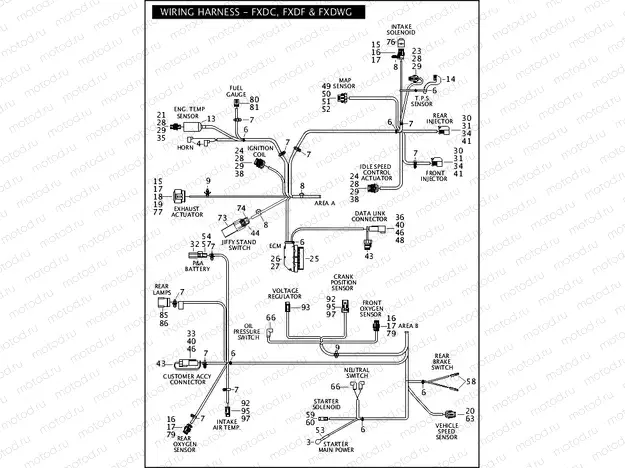 WIRING HARNESS - FXDC, FXDF & FXDWG (2 OF 2)