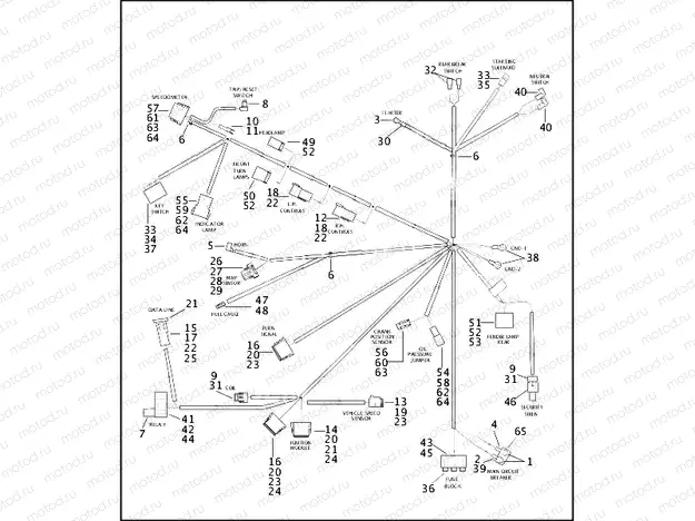 WIRING HARNESS - FXDWG (1 OF 2)