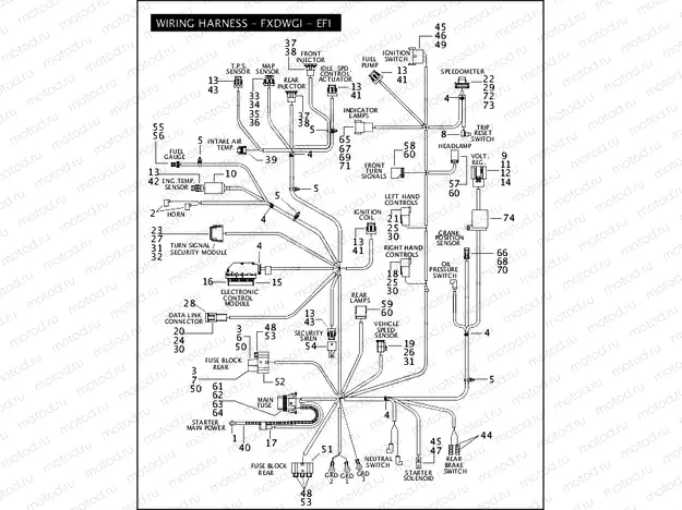 WIRING HARNESS - FXDWGI - EFI (1 OF 2)
