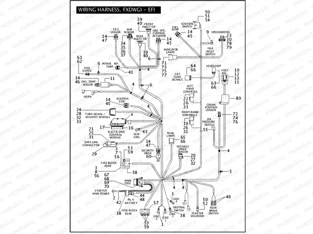WIRING HARNESS, FXDWGI - EFI (2 OF 2)