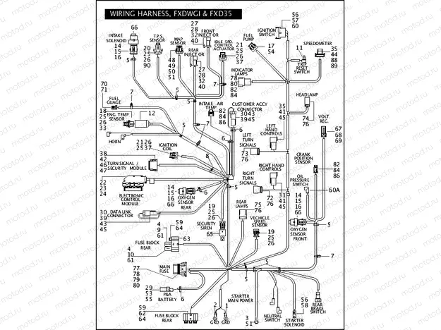 WIRING HARNESS, FXDWGI & FXD35