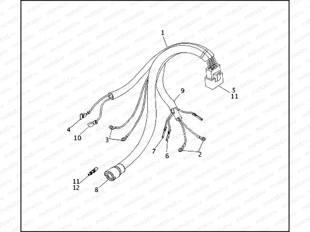 WIRING HARNESS - IGNITION MODULE
