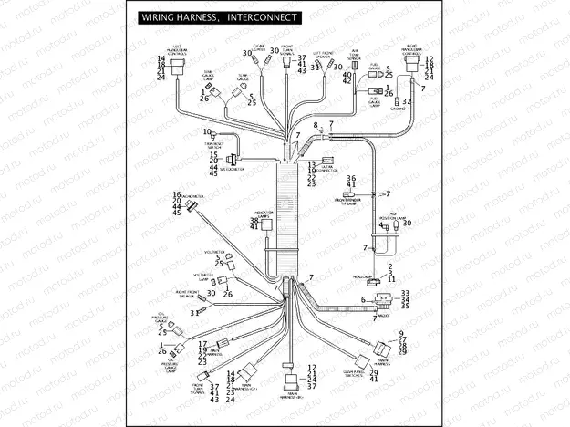 WIRING HARNESS, INTERCONNECT