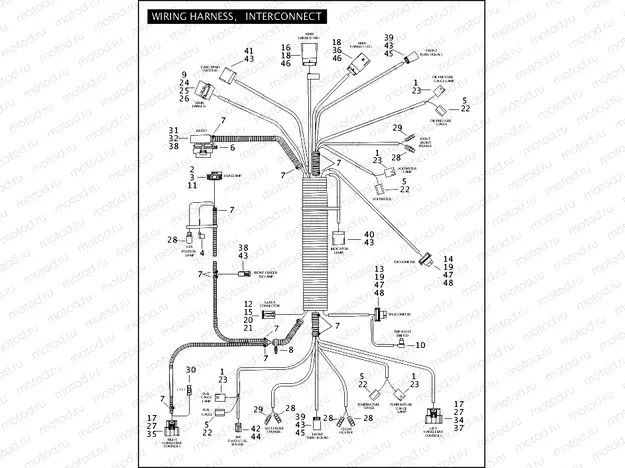 WIRING HARNESS, INTERCONNECT