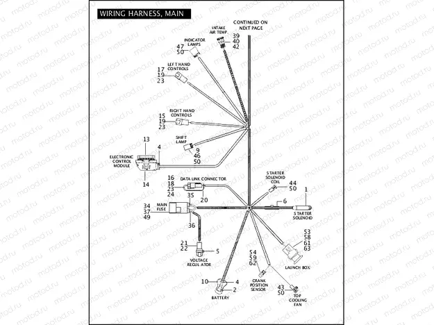 WIRING HARNESS, MAIN (1 OF 2)