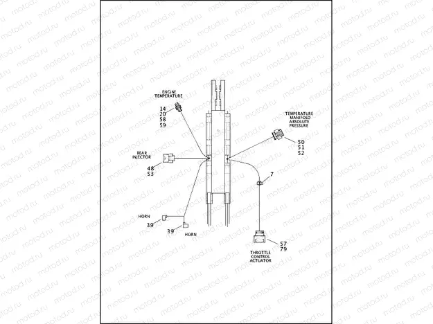 WIRING HARNESS, MAIN (2 OF 5)