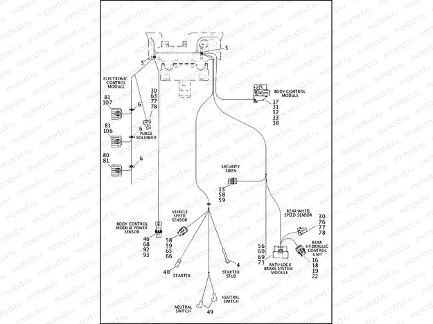 WIRING HARNESS, MAIN (4 OF 5)