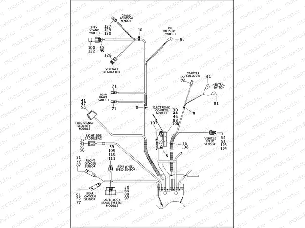 WIRING HARNESS, MAIN (5 OF 5)